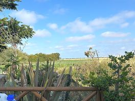 The view from our pitch