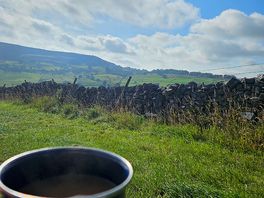 Morning cuppa