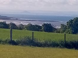 View from the site