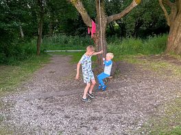 Added bonus of a couple of tree swings to entertain the kids!