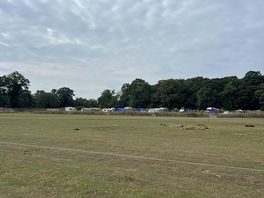 The surrounding fields