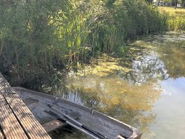 Pond
