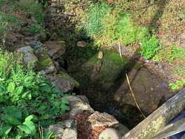Stream