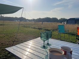 Last nights glasses, this mornings tea!