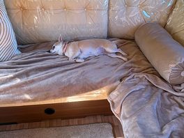 Honey having a sleepover