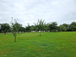 De appelboomgaard