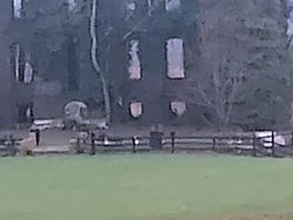 View from field of a stately home