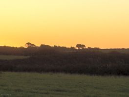 Stunning sunset