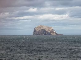 Bass rock from seabirds centre, go the "drift cafe" for a closer look.