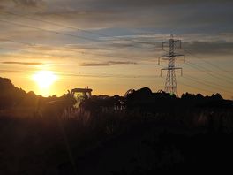 Sunrise over butt farm