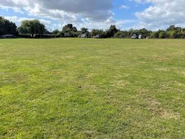 I did mention it was a big field!