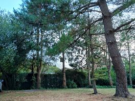 Set in beautiful orchard