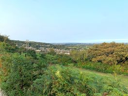 Great views