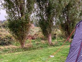 Birdwatching was fantastic