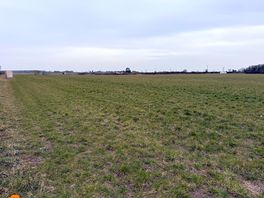 Will camping field
