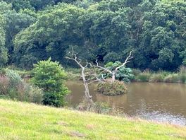 Fishing lake