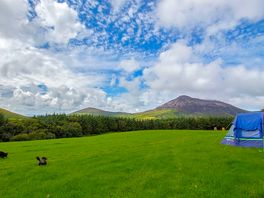 Camping field