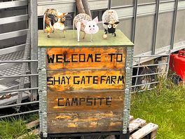 Cute welcome