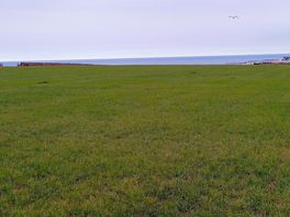 7. the view from our tent.