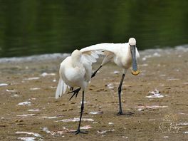 Taken at gibraltar point.