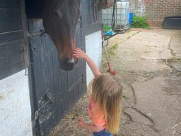 Stables walking distance