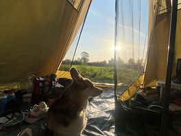 Lush view from the tent - early morning