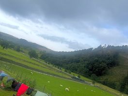 The field with the sheep