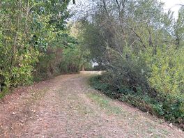Walk /cycle path around the lake