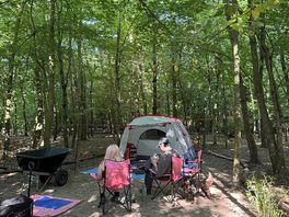 Tent in the shade. rabbit pitch
