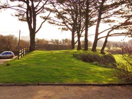 Grass pitch