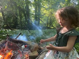Marshmallows