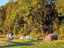 Tent pitches