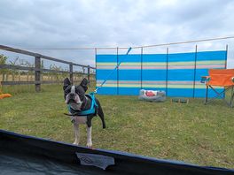 Space outside the tent