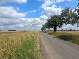 The lane leading up to the entrance to lodge farm