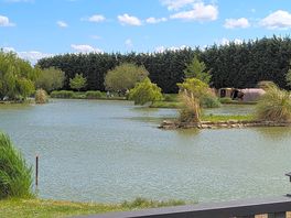 View from mallard, pet friendly lodge