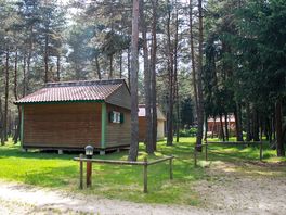Lodges in the pine forest