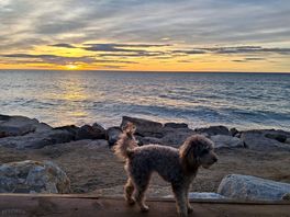 Amanecer junto a nuestra chiqui