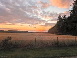 Wonderful sunset!