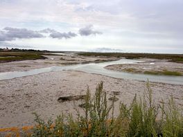 Salt marshes