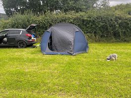 Flat spacious grass pitches