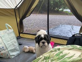 Gizzy on holiday