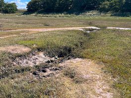 The creek