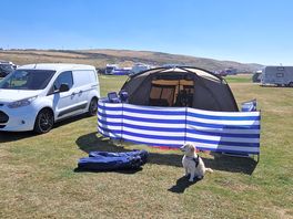 Our pitch