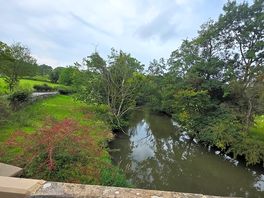 Peace and quiet