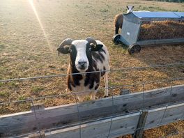Looking for breakfast!