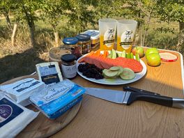 Picnic