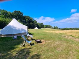 The site