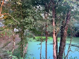 Pond