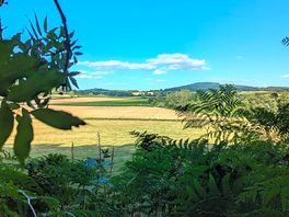 Stunning views from the nearby woodland