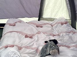 Comfortable